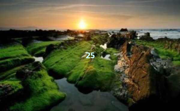 AI写作英文免费：提升写作效率与质量的终极工具