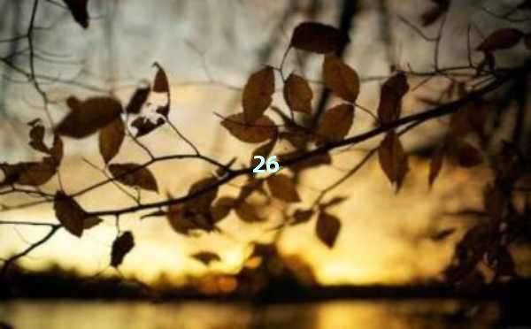 AI写作软件排行榜前十名推荐：高效写作从这里开始！