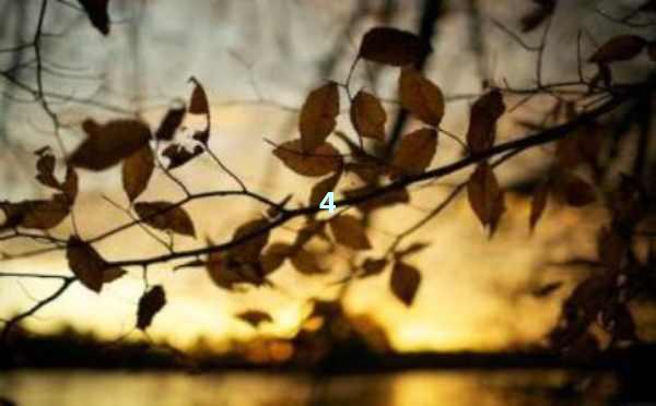 AI写作的未来：智能化写作工具如何改变创作世界