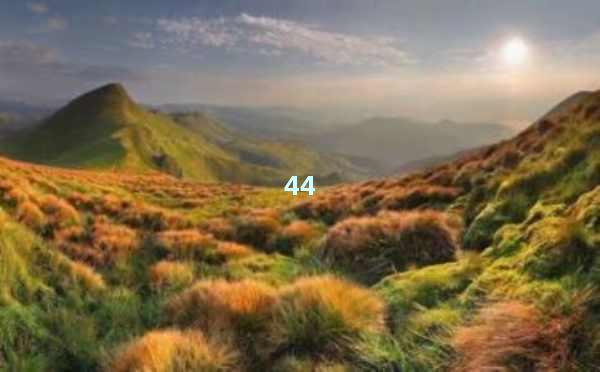 AI写文章-开启高效创作新时代