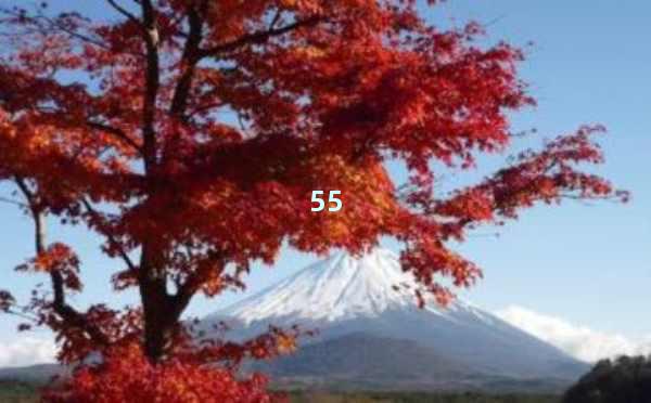 AI写作软件排名-帮你找到最适合的AI写作工具