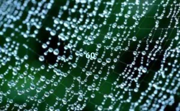 AI写作软件-开启智能创作新时代