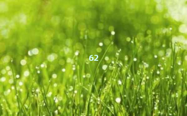 AI写文章真的很容易重复吗？